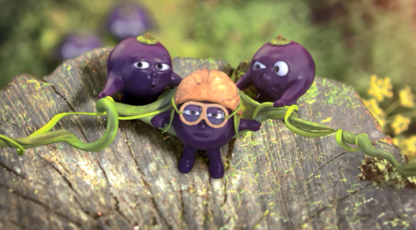 berrypic