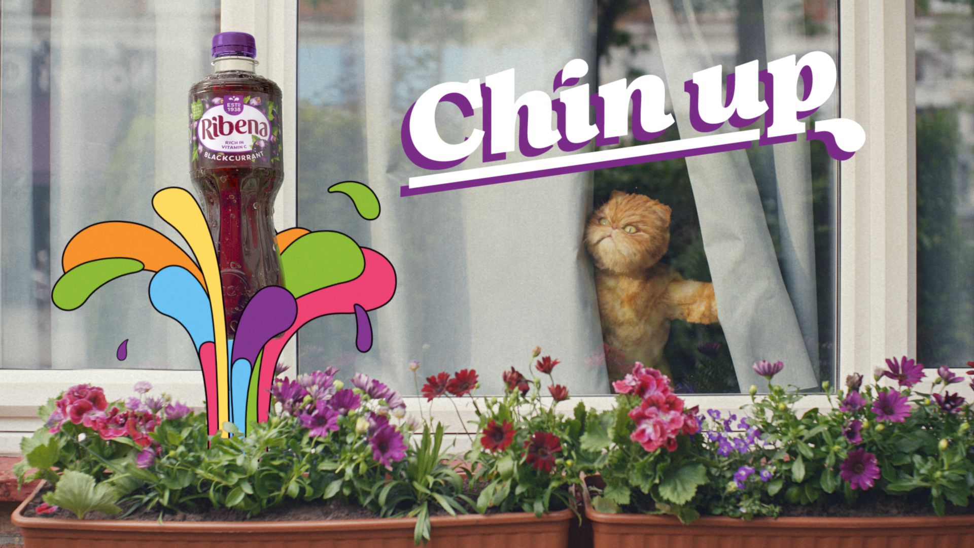 chinup1
