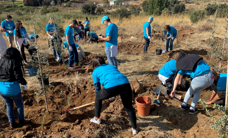 voluntariadfo