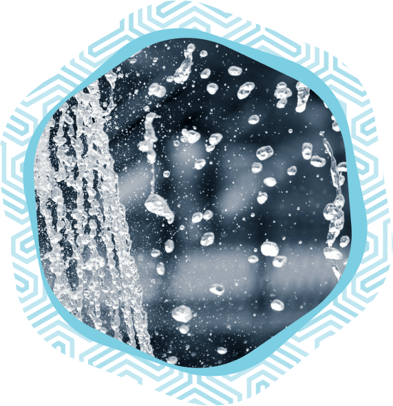 Suntory, portée par la nature et l’eau