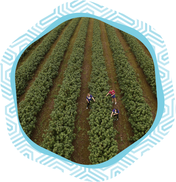 Growing for Good Fact Sheet