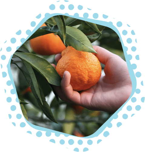 SBFE Sustainability Report 2024